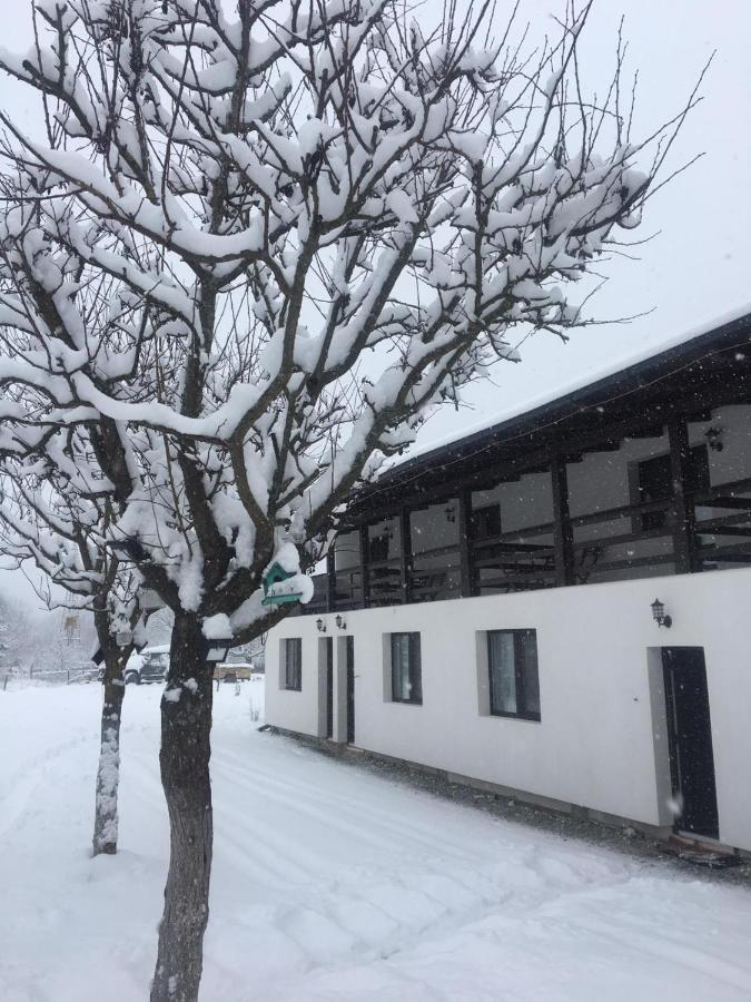 Casa Firuta Borsa Hotel Exterior photo